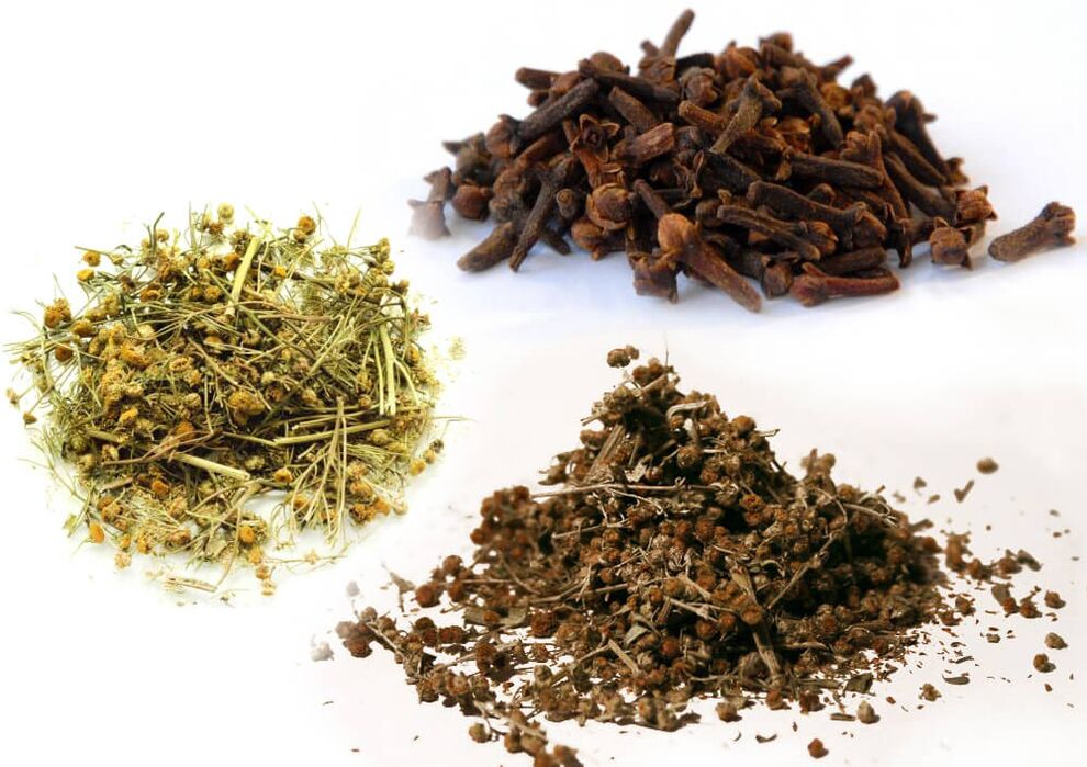 Ajenjoa, tansy eta ale parasitoak kentzeko