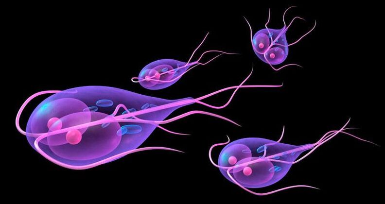 Giardia, giza heste meharrean bizi dena