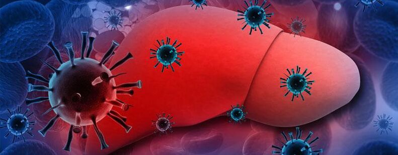 Parasitoen presentzia gorputzean hepatitisa dakar
