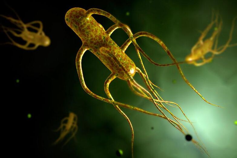 Salmonella giza hesteetan bizi da